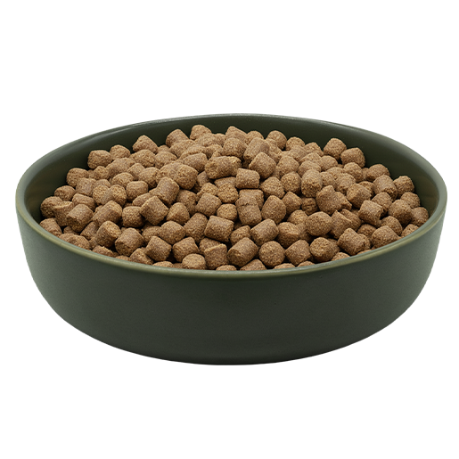 Packung REiCO MAXiDOG Allround Champion