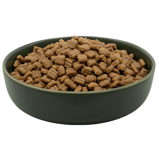 Packung REiCO MAXiDOG Allround Olymp