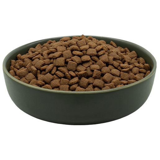 Packung REiCO MAXiDOG Allround Wellness